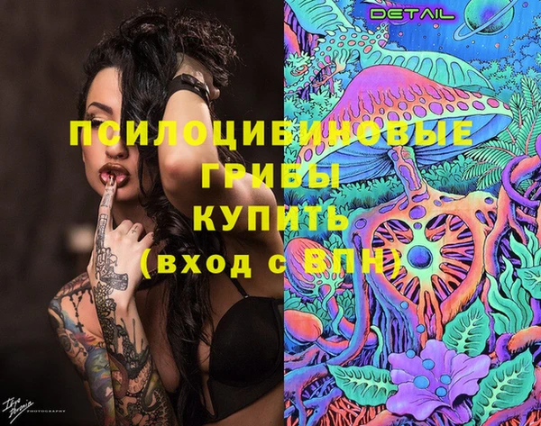 эйфоретик Костерёво